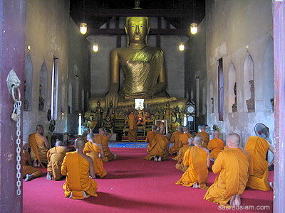 Monks chant at Wat Sao Tong Thong Lopburi
